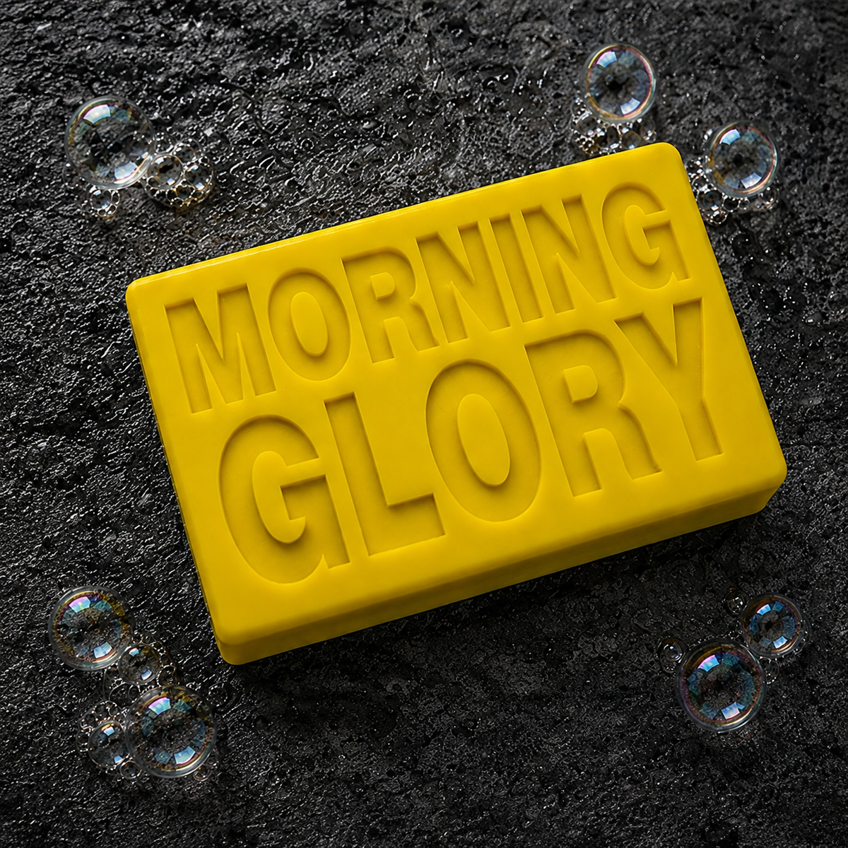 MORNING GLORY