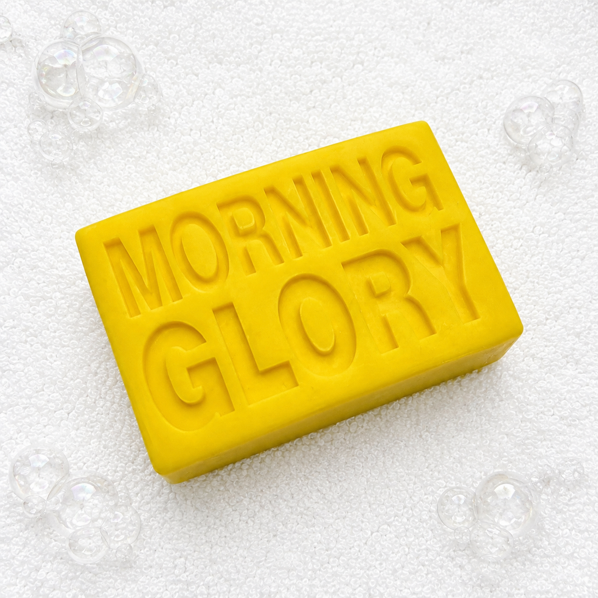 MORNING GLORY