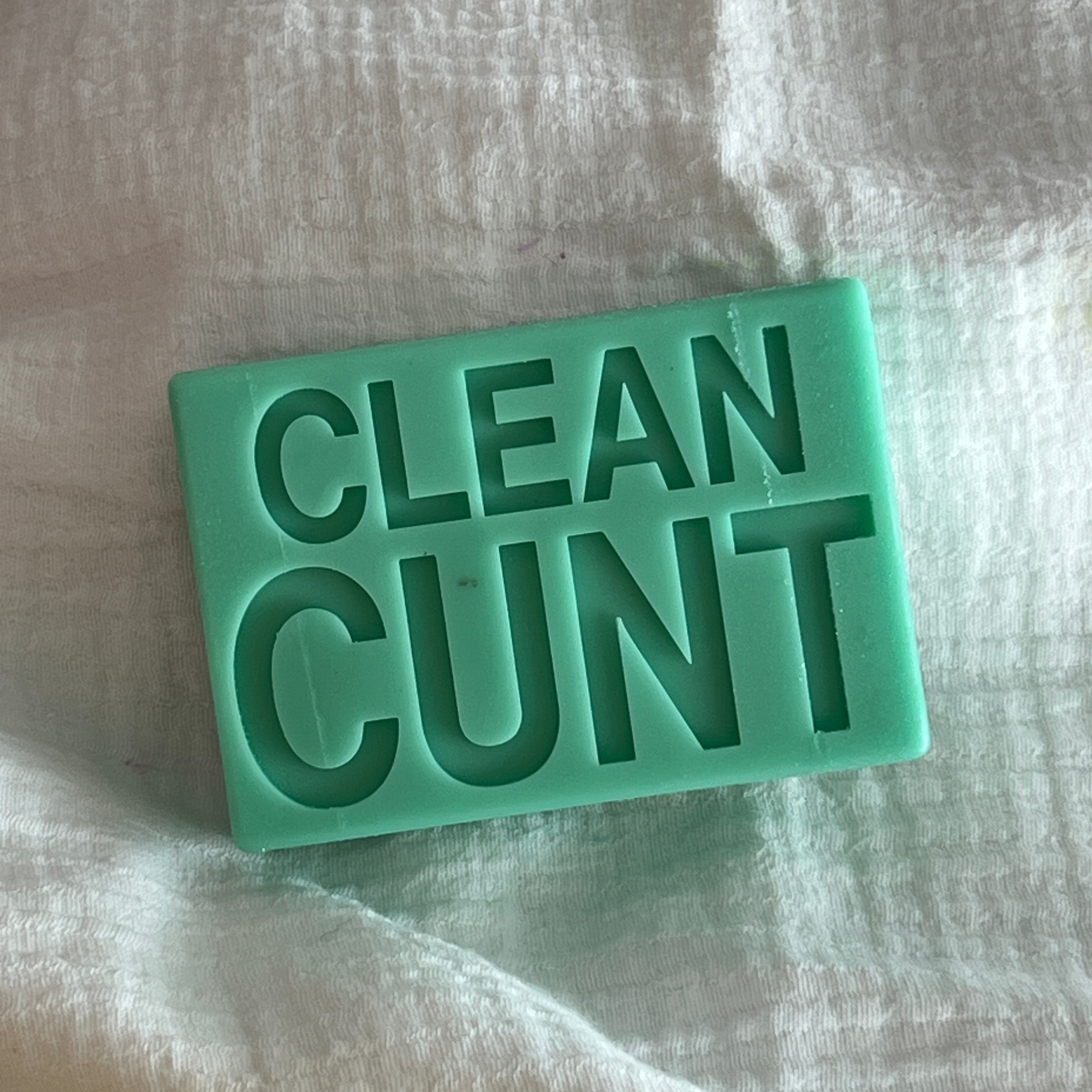 CLEAN CUNT